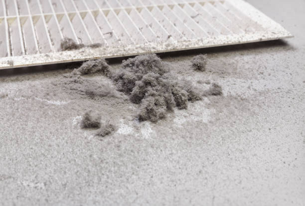 Best Ductwork Cleaning Services  in Towaoc, CO